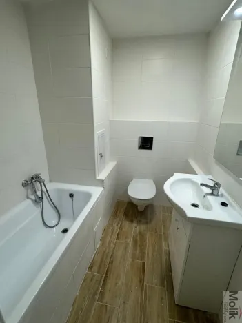 Pronájem bytu 1+1, Most, Marš. Rybalka, 35 m2