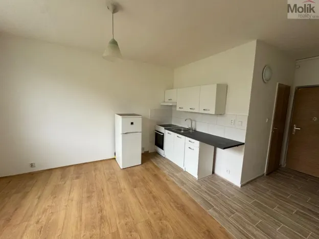 Pronájem bytu 1+1, Most, Marš. Rybalka, 35 m2