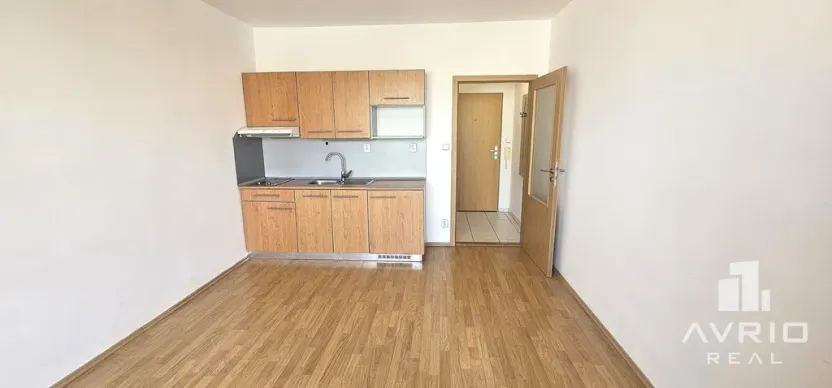 Prodej bytu 1+kk, Brno, Božetěchova, 21 m2