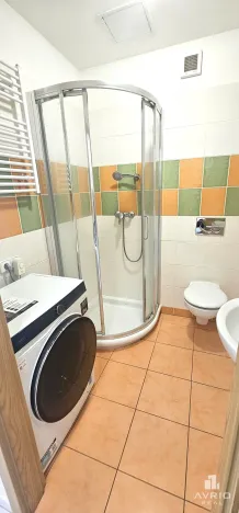Prodej bytu 1+kk, Brno, Božetěchova, 21 m2