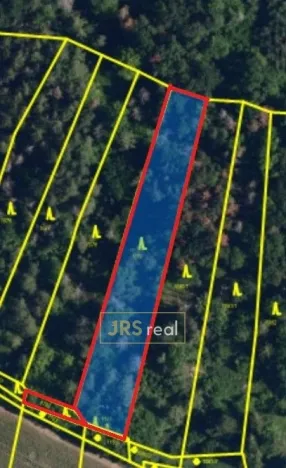 Prodej lesa, Březina - Březina (dříve okres Tišnov), 2470 m2