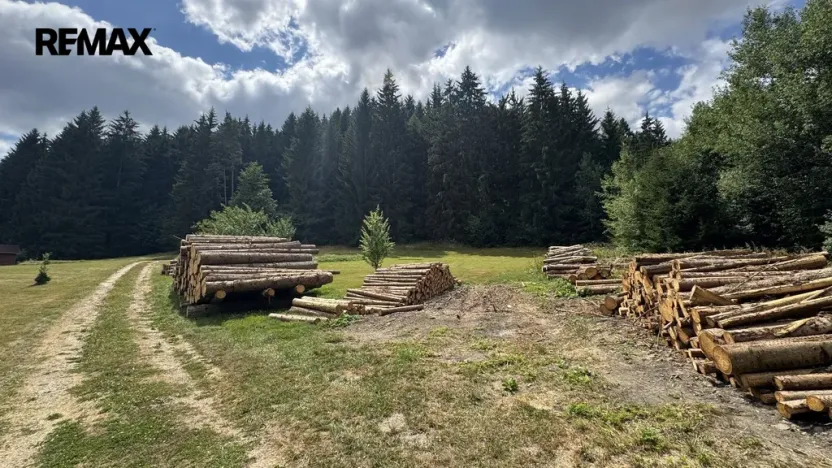 Prodej pozemku pro bydlení, Borušov, 1387 m2