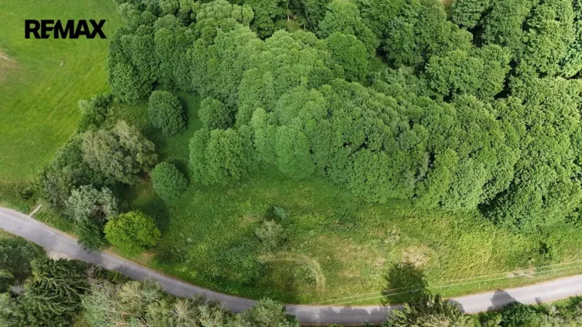 Prodej louky, Borušov, 6111 m2