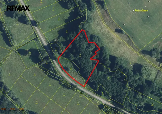Prodej louky, Borušov, 6111 m2
