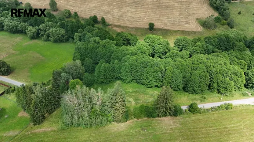 Prodej louky, Borušov, 6111 m2