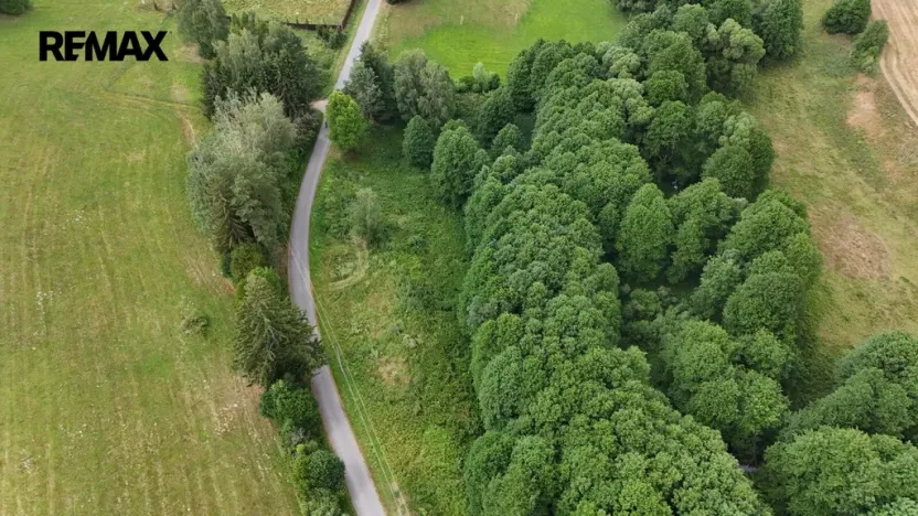 Prodej louky, Borušov, 6111 m2