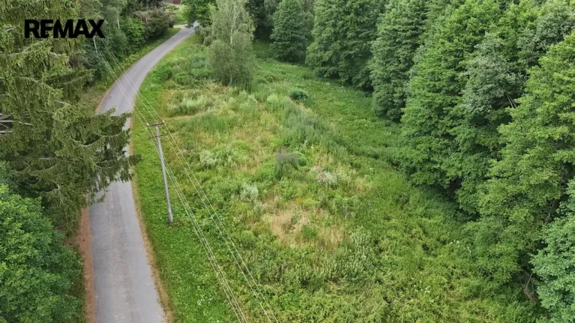 Prodej louky, Borušov, 6111 m2