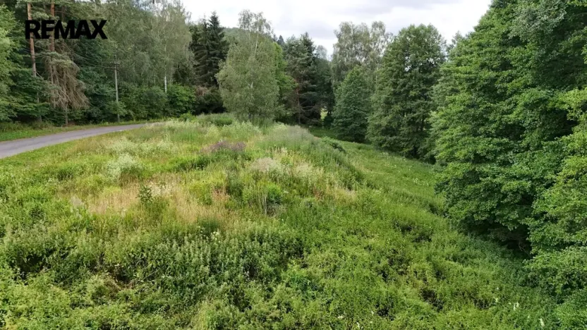 Prodej louky, Borušov, 6111 m2