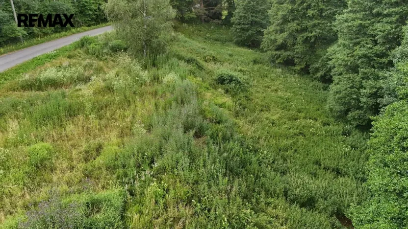 Prodej louky, Borušov, 6111 m2