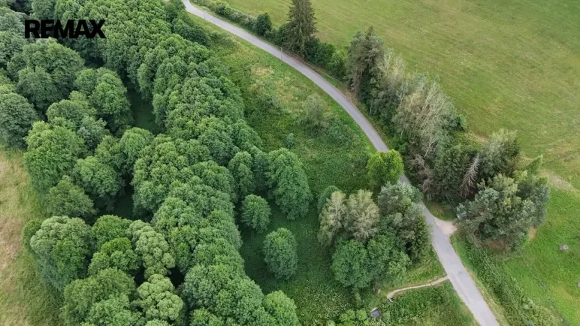 Prodej louky, Borušov, 6111 m2