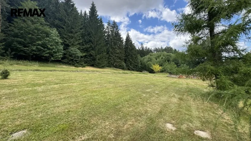 Prodej pozemku pro bydlení, Borušov, 805 m2