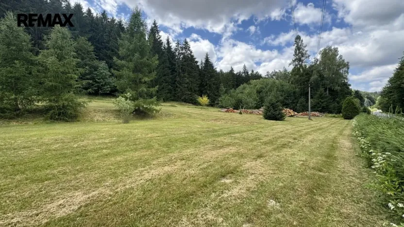 Prodej pozemku pro bydlení, Borušov, 960 m2