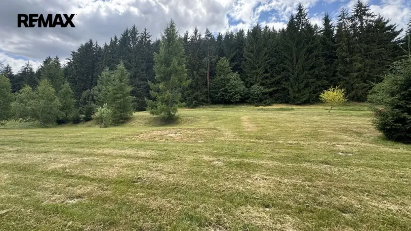 Prodej pozemku pro bydlení, Borušov, 960 m2