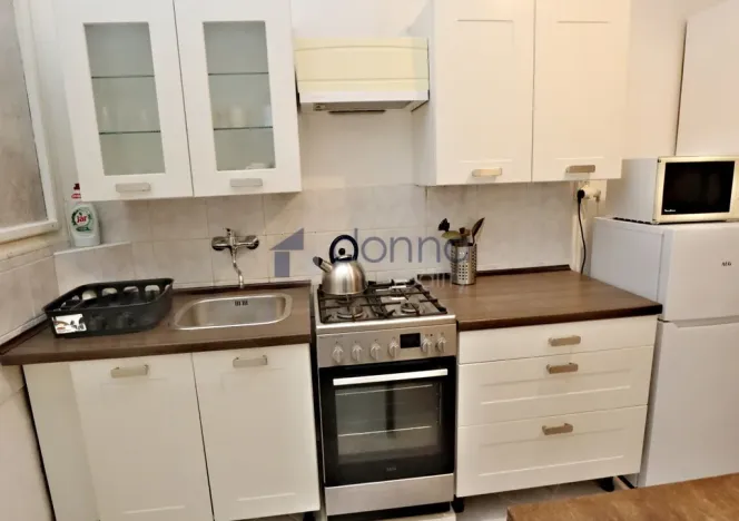 Pronájem bytu 2+1, Praha, Raisova, 53 m2