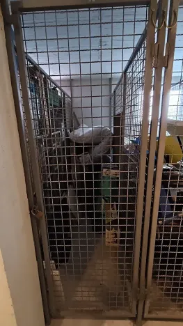 Prodej bytu 3+kk, Pula, Chorvatsko, 70 m2