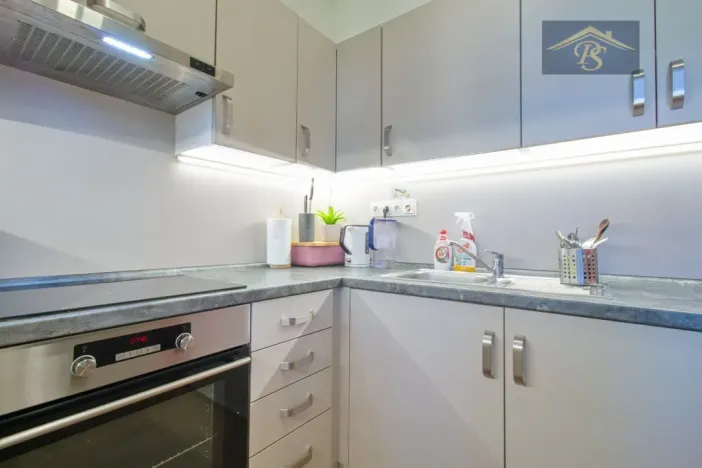 Pronájem bytu 2+kk, Roudnice nad Labem, Špindlerova třída, 57 m2
