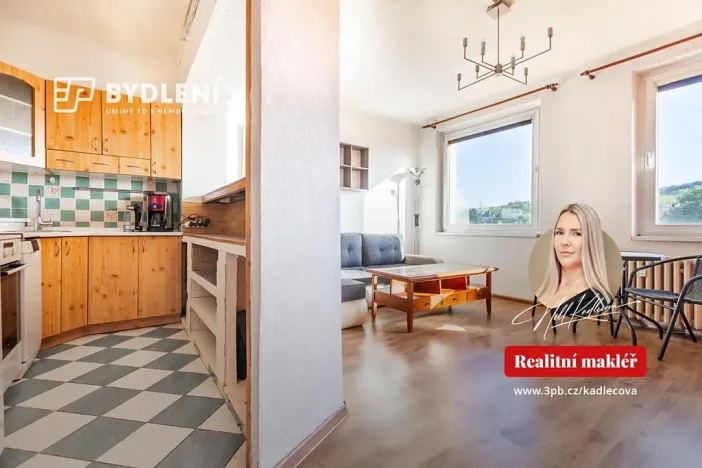 Pronájem bytu 2+kk, Teplice, Prosetická, 46 m2