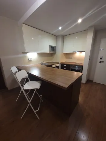 Pronájem bytu 2+kk, Plzeň - Jižní Předměstí, U Borského parku, 52 m2