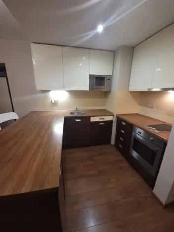 Pronájem bytu 2+kk, Plzeň - Jižní Předměstí, U Borského parku, 52 m2