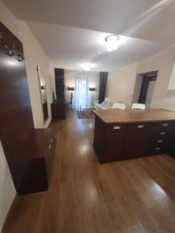 Pronájem bytu 2+kk, Plzeň - Jižní Předměstí, U Borského parku, 52 m2