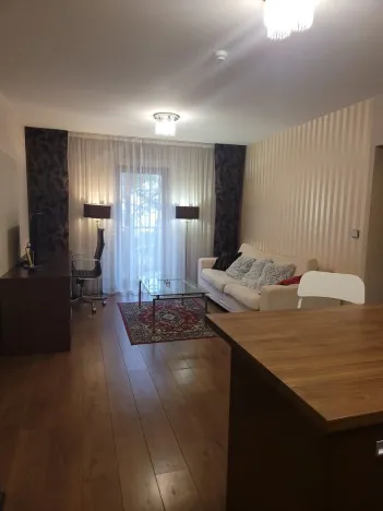 Pronájem bytu 2+kk, Plzeň - Jižní Předměstí, U Borského parku, 52 m2
