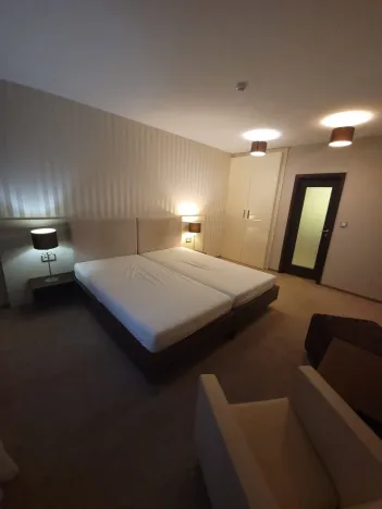 Pronájem bytu 2+kk, Plzeň - Jižní Předměstí, U Borského parku, 52 m2