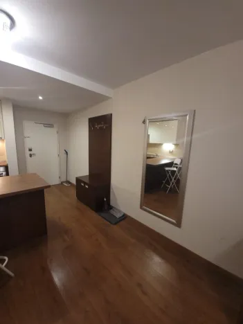 Pronájem bytu 2+kk, Plzeň - Jižní Předměstí, U Borského parku, 52 m2