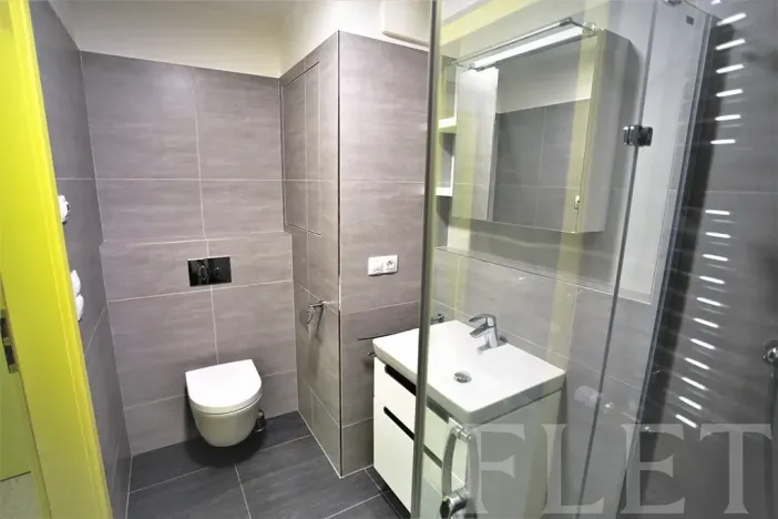 Pronájem bytu 1+kk, Praha - Karlín, Sokolovská, 31 m2