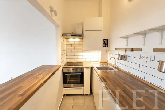 Pronájem bytu 2+kk, Praha - Holešovice, U Pergamenky, 58 m2
