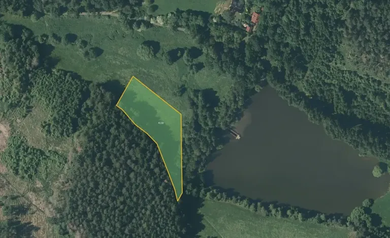 Prodej louky, Kamberk, 3653 m2