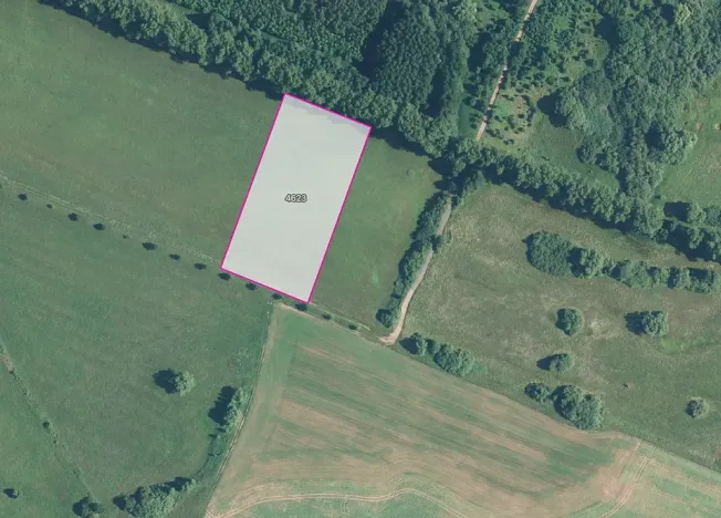 Prodej louky, Dvůr Králové nad Labem, 10323 m2