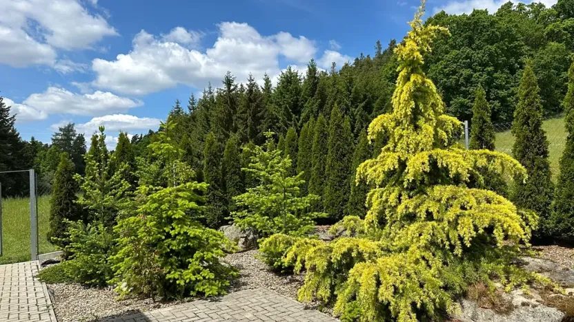 Prodej rodinného domu, Vojkov, 171 m2