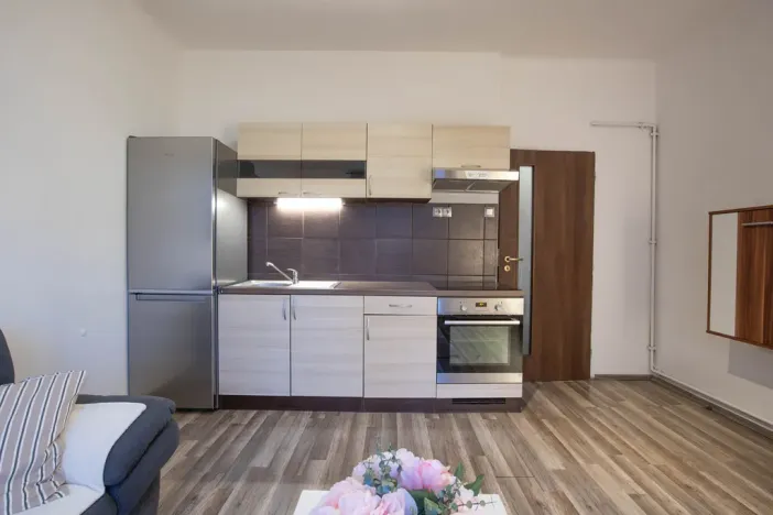 Prodej bytu 2+kk, Praha - Žižkov, Jana Želivského, 56 m2