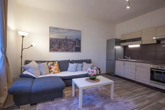Prodej bytu 2+kk, Praha - Žižkov, Jana Želivského, 56 m2