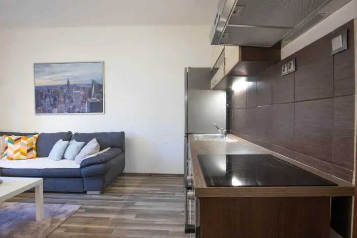 Prodej bytu 2+kk, Praha - Žižkov, Jana Želivského, 56 m2