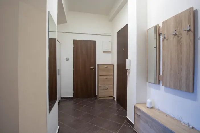 Prodej bytu 2+kk, Praha - Žižkov, Jana Želivského, 56 m2