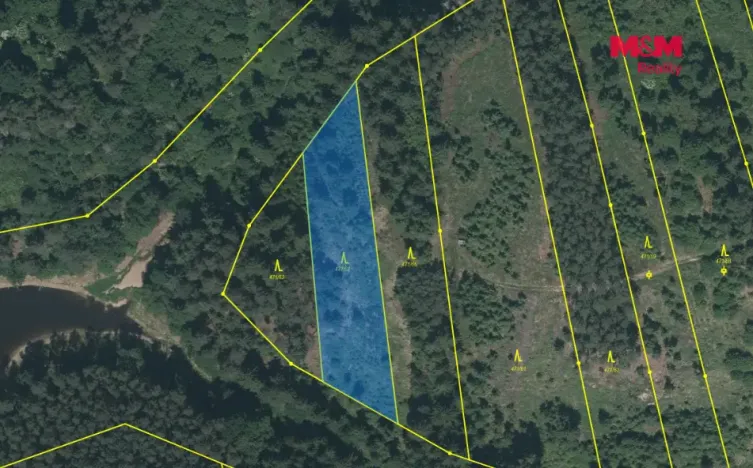 Prodej lesa, Slabčice - Písecká Smoleč, 48910 m2