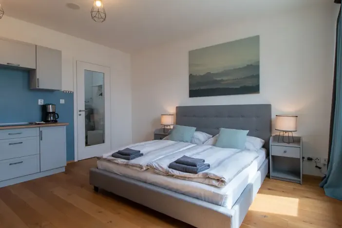 Pronájem bytu 1+kk, Praha - Vinohrady, Perucká, 27 m2