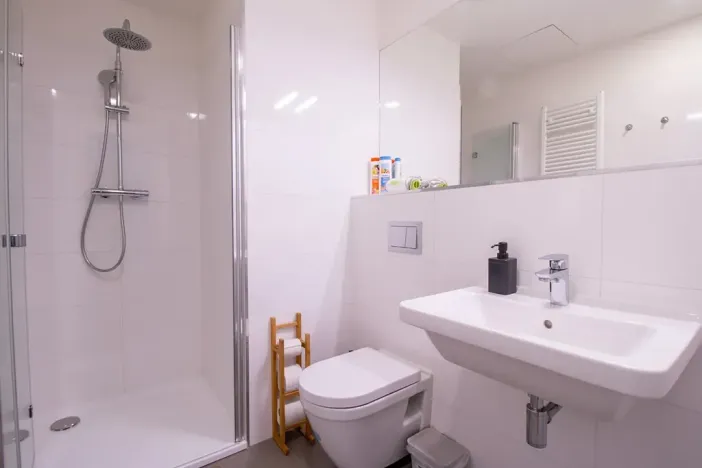 Pronájem bytu 1+kk, Praha - Vinohrady, Perucká, 27 m2