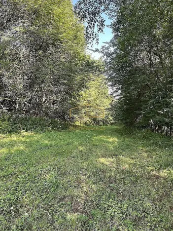Prodej sadu/vinice, Ondřejov, Břeský vrch, 3453 m2