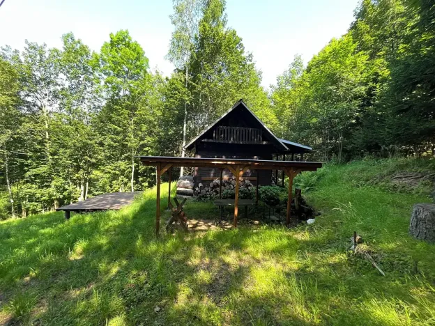 Dražba chaty, Těchonín, 17 m2