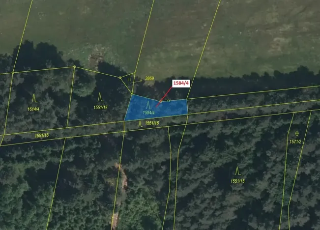 Dražba lesa, Nová Bystřice, 260 m2