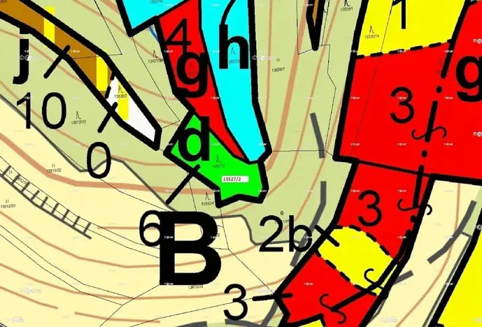 Dražba lesa, Hovězí, 1230 m2