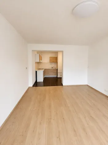 Pronájem bytu 3+1, Novosedlice, Jindřišská, 70 m2