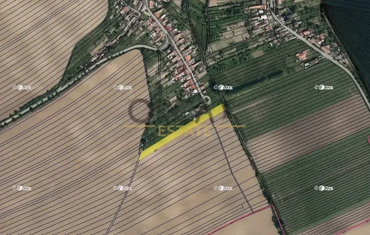 Prodej pole, Moravany, 3323 m2