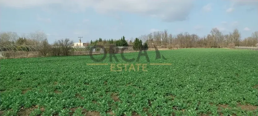 Prodej pozemku pro bydlení, Vranovice, 2817 m2