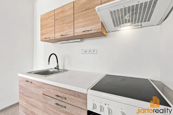 Pronájem bytu 1+kk, Ústí nad Labem, Spartakiádní, 31 m2