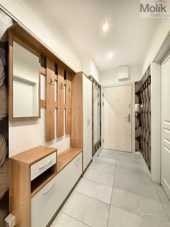 Pronájem bytu 1+kk, Teplice, U divadla, 38 m2