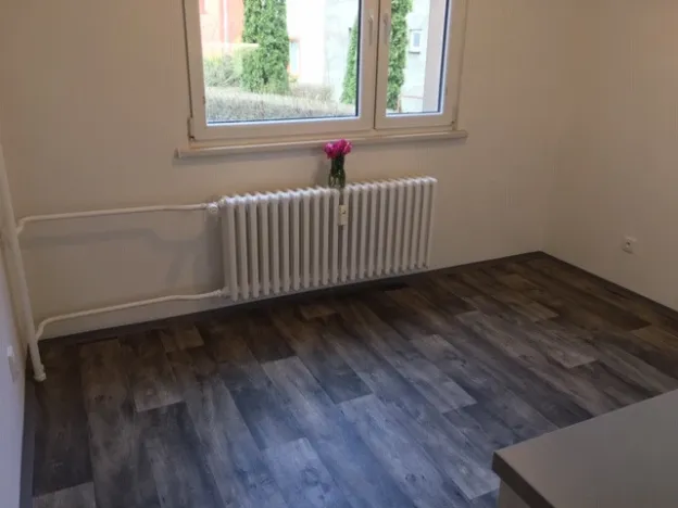 Pronájem bytu 1+1, Ostrava - Mariánské Hory, Hudební, 41 m2