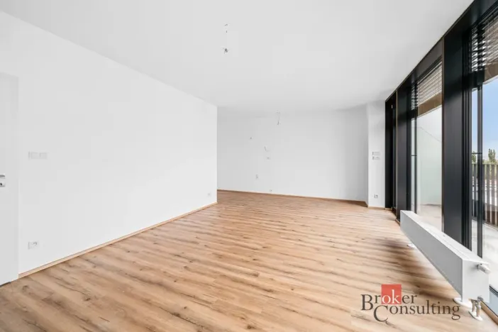 Pronájem bytu 2+kk, Plzeň - Jižní Předměstí, Železná, 62 m2